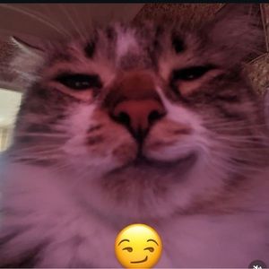 Meet your Posher, Gaige